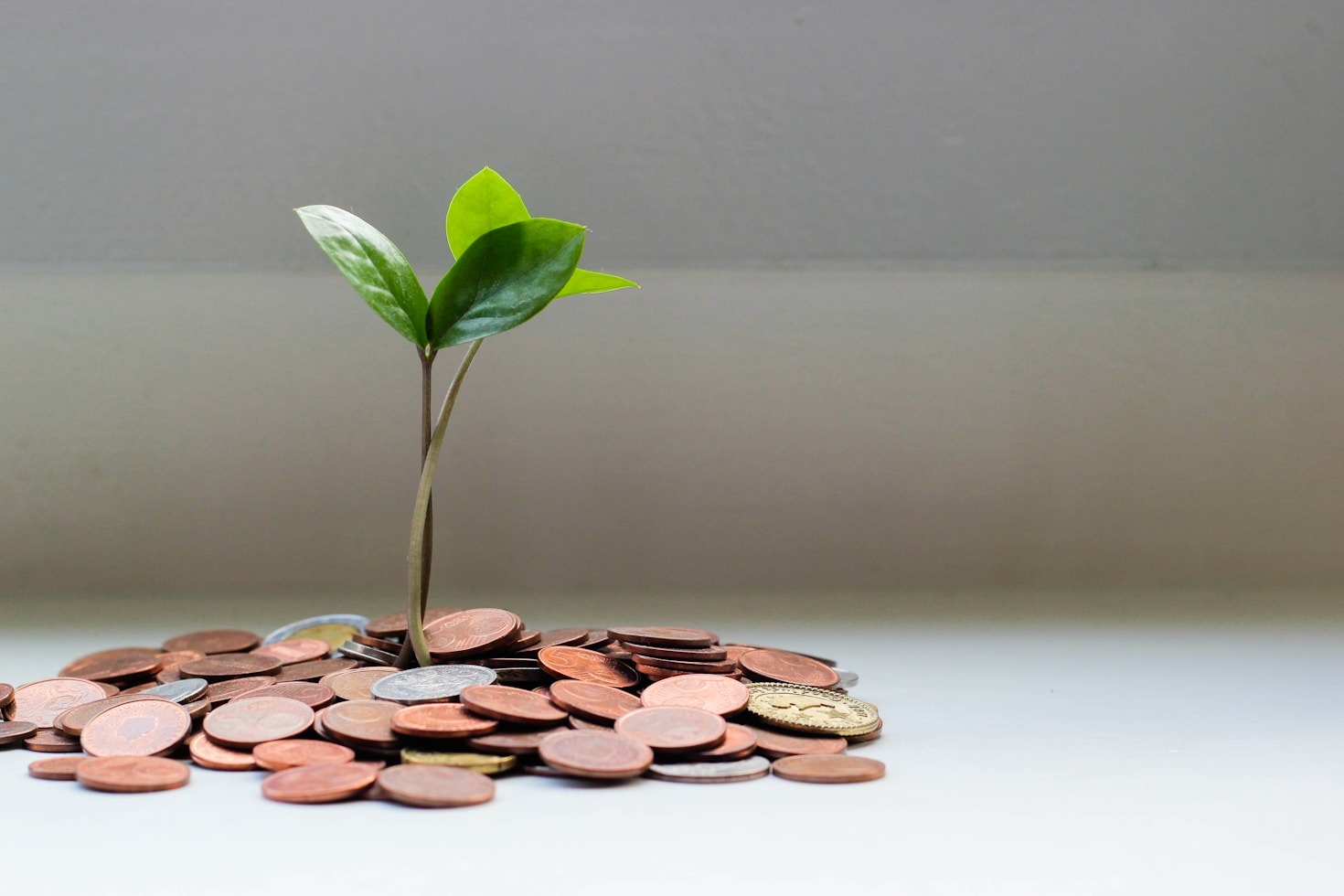 Top AI Tools for Smarter Investment Decisions